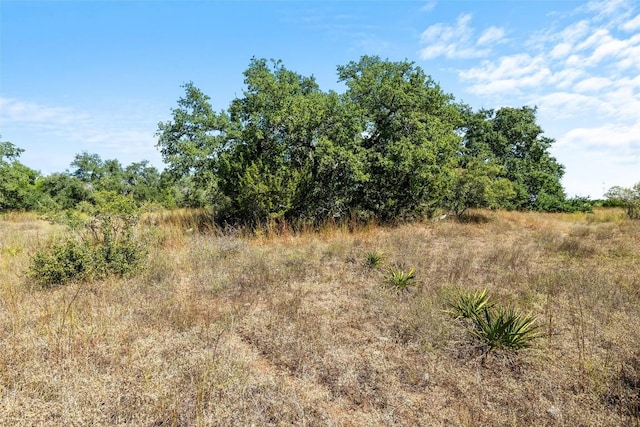 151 Crossroads Dr, Dripping Springs, TX 78620 - photo 19