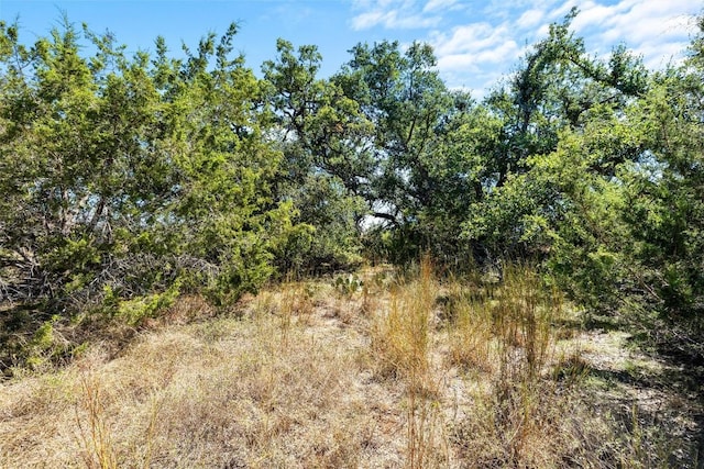 151 Crossroads Dr, Dripping Springs, TX 78620 - photo 21