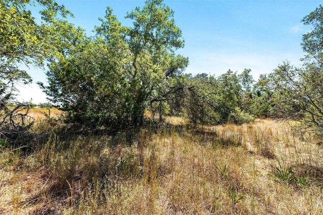151 Crossroads Dr, Dripping Springs, TX 78620 - photo 22