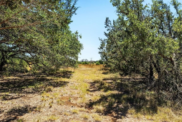 151 Crossroads Dr, Dripping Springs, TX 78620 - photo 24