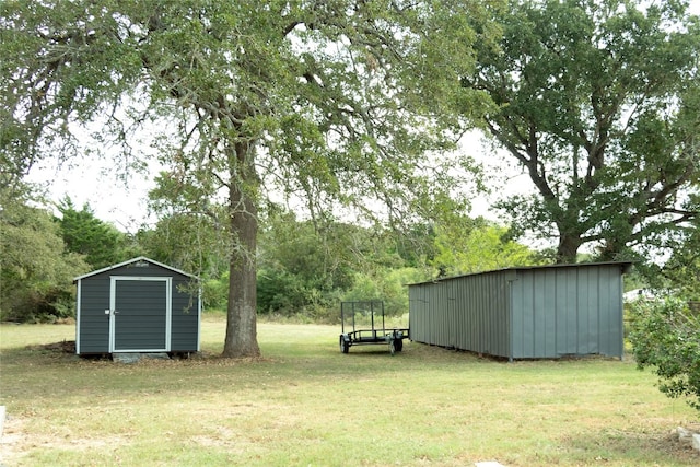 view of yard with a storage unit