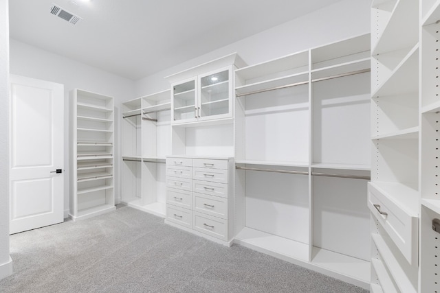 spacious closet with light carpet