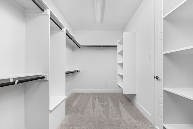 walk in closet with light colored carpet