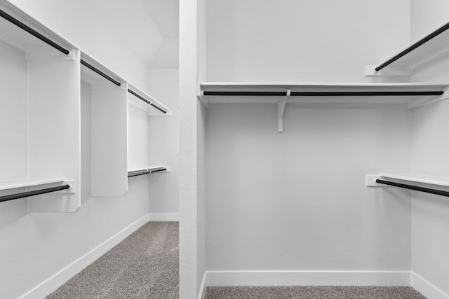 walk in closet featuring carpet