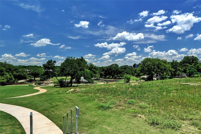 view of community with a yard