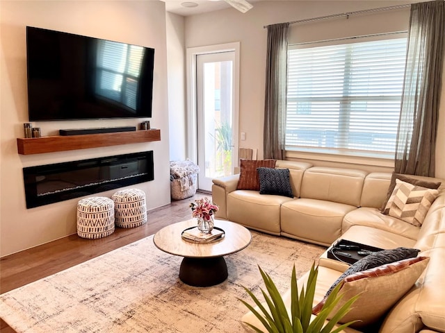 living room featuring a wealth of natural light and wood-type flooring