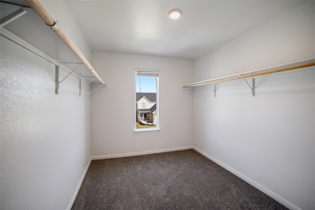 spacious closet featuring carpet floors