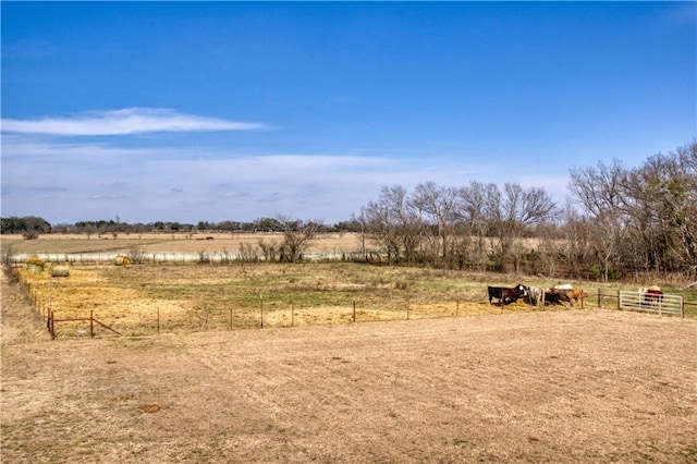 view of yard featuring a rural view