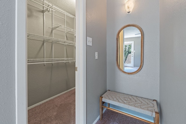 interior space featuring carpet floors