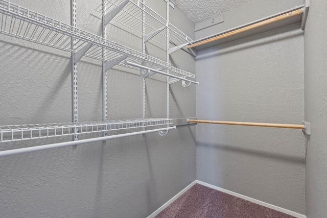 spacious closet with carpet floors