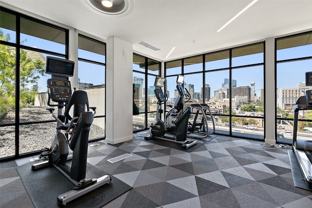 exercise room with floor to ceiling windows and a healthy amount of sunlight