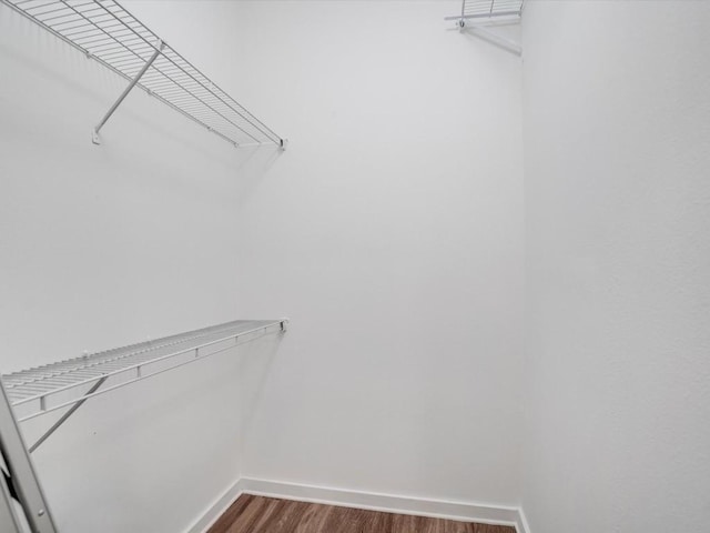 walk in closet featuring hardwood / wood-style floors