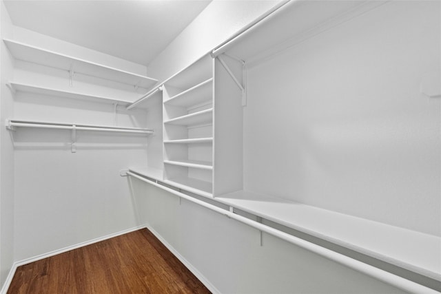 spacious closet featuring hardwood / wood-style floors