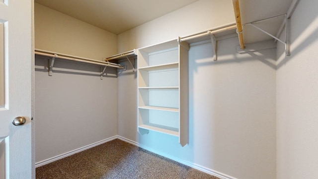 walk in closet with carpet