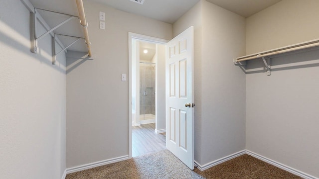 spacious closet with carpet