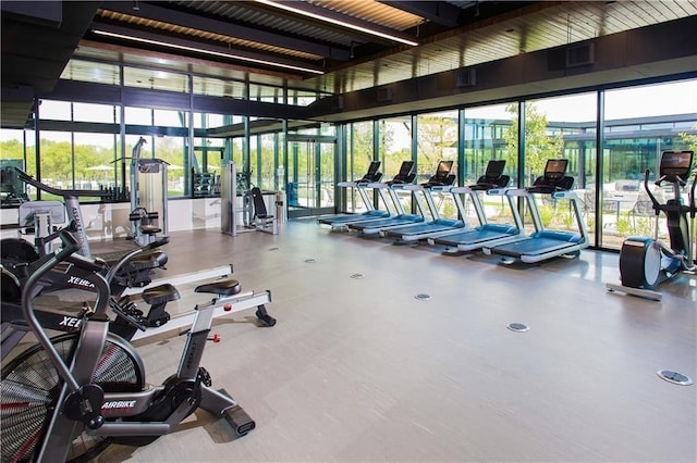 8508 Dongan Dr, Austin, TX 78744 - workout area featuring expansive windows