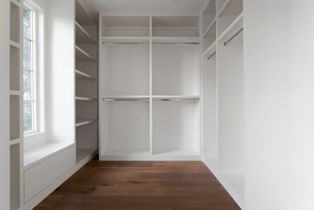 spacious closet with dark hardwood / wood-style flooring