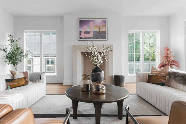 living room featuring light hardwood / wood-style flooring and a healthy amount of sunlight