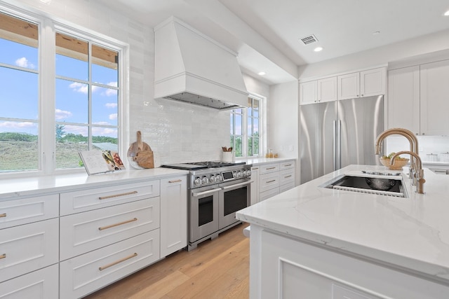 kitchen with premium range hood, sink, stainless steel appliances, and plenty of natural light