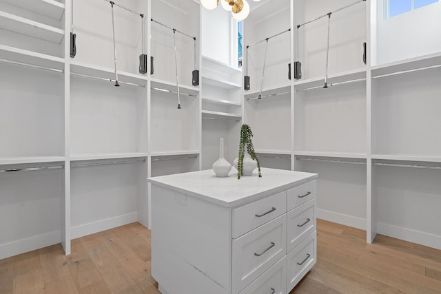 spacious closet with light hardwood / wood-style flooring