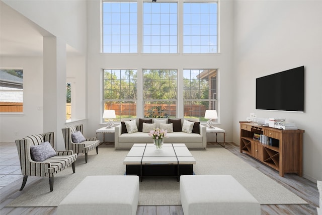 living room featuring a high ceiling and light hardwood / wood-style flooring