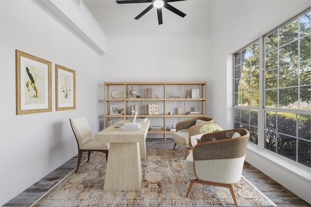 office featuring ceiling fan and wood-type flooring