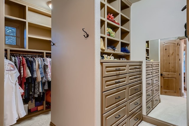 view of walk in closet