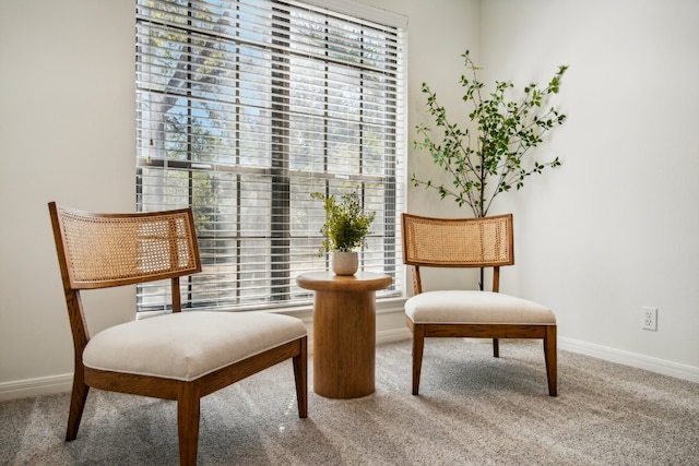 living area with carpet