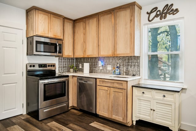 kitchen featuring decorative backsplash, stainless steel appliances, sink, and dark hardwood / wood-style flooring