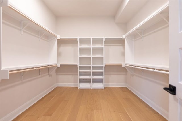 spacious closet featuring hardwood / wood-style flooring