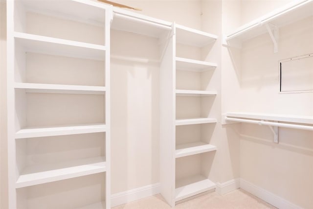 walk in closet featuring carpet floors