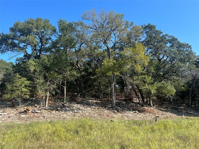 Listing photo 3 for TBD Narrows Road, Blanco TX 78606