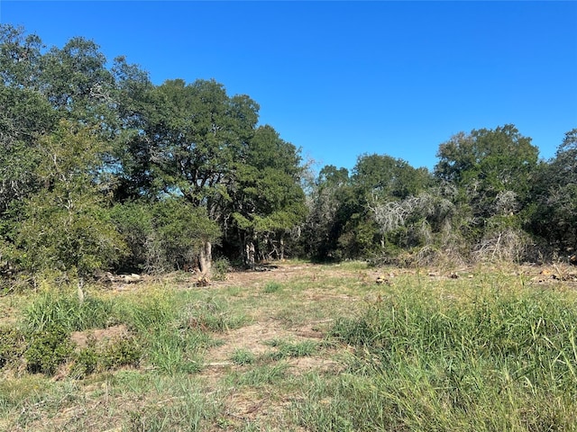 TBD Narrows Road, Blanco TX, 78606 land for sale