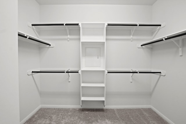 spacious closet featuring carpet