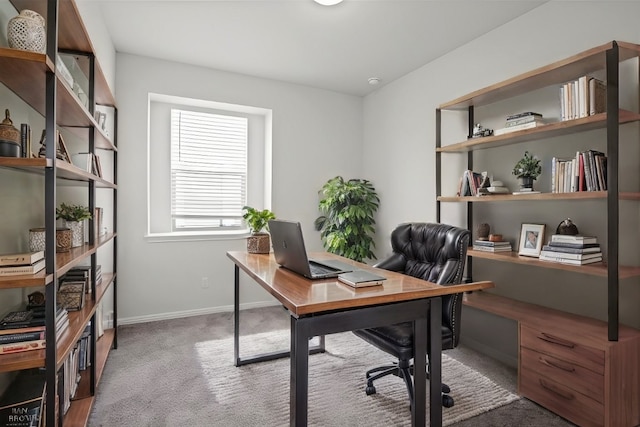 home office with carpet flooring