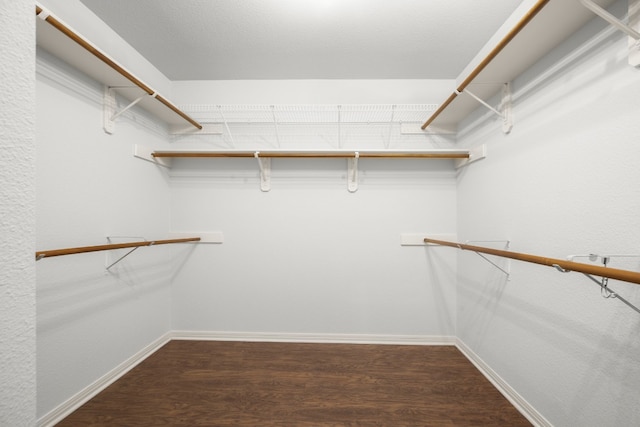 spacious closet featuring dark hardwood / wood-style floors