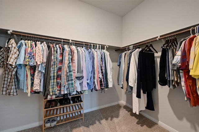 walk in closet featuring carpet floors