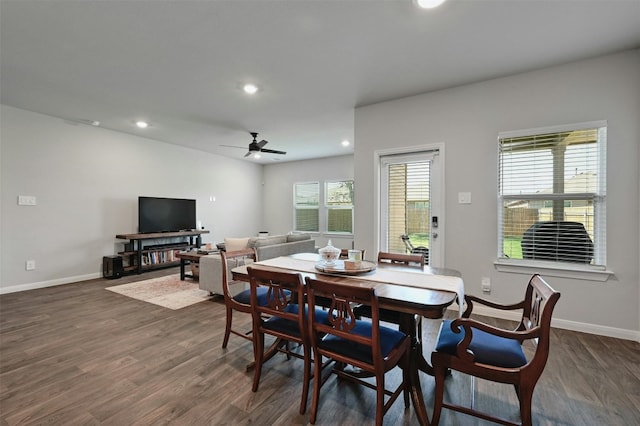 dining room featuring ceiling fan, plenty of natural light, and dark wood-type flooring