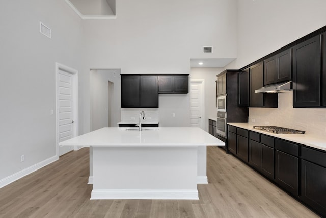 kitchen featuring sink, light hardwood / wood-style flooring, backsplash, stainless steel appliances, and an island with sink