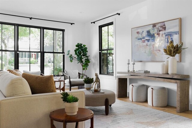 living room with light wood-type flooring and a wealth of natural light