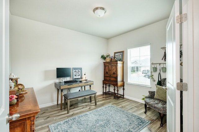 sitting room featuring light hardwood / wood-style flooring