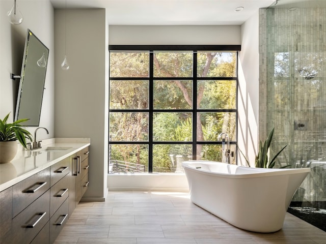 bathroom featuring a bath, vanity, and a wealth of natural light