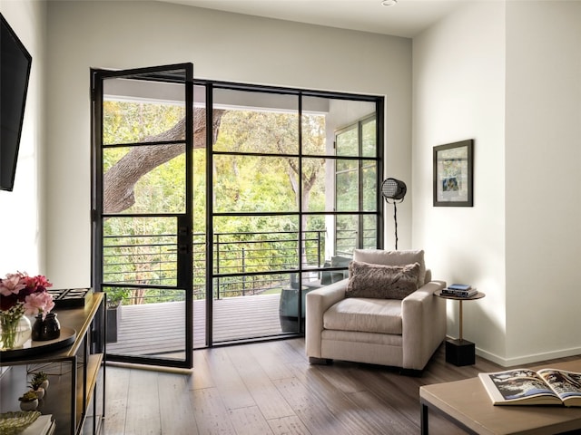 doorway with hardwood / wood-style floors and a healthy amount of sunlight