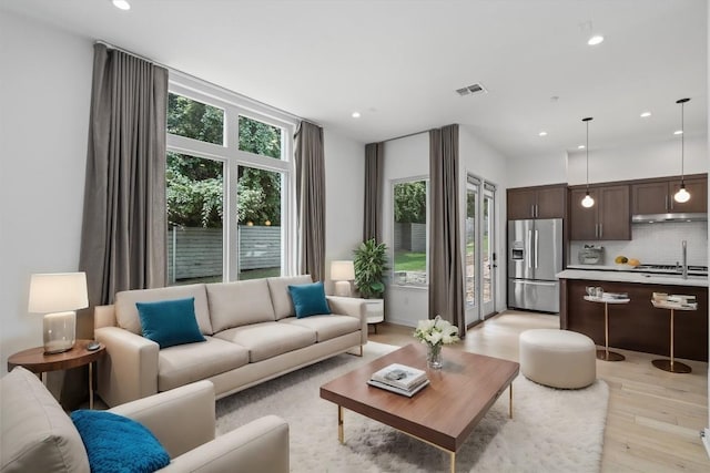 living room featuring light wood-type flooring and a wealth of natural light