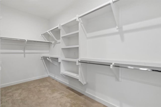 spacious closet featuring light carpet