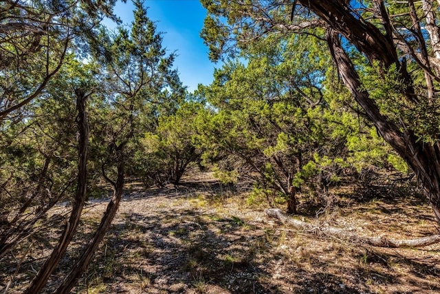 view of local wilderness