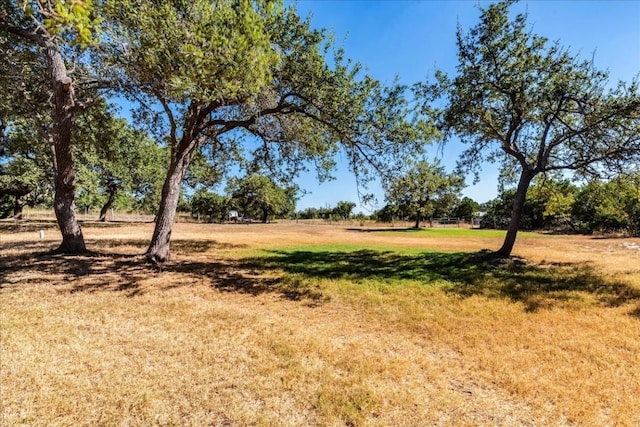 31887 Mirela Ann Ln, Dripping Springs, TX 78620 - view of local wilderness