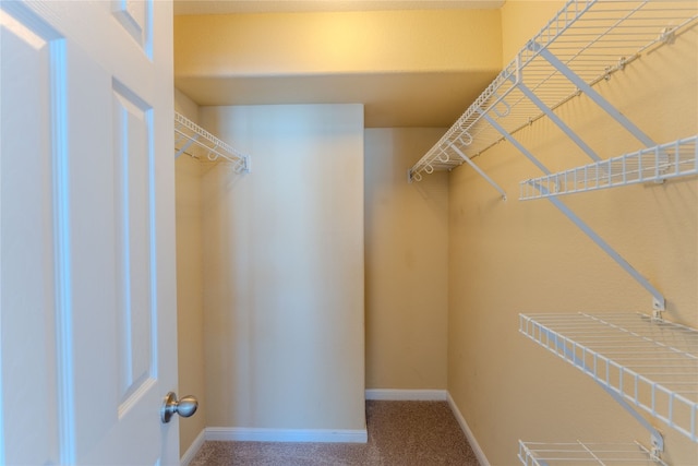 walk in closet with carpet floors