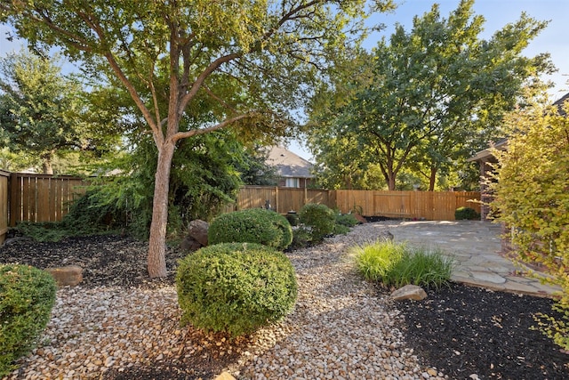 view of yard featuring a patio area