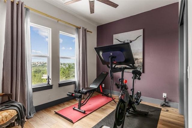 workout room with ceiling fan and light hardwood / wood-style floors